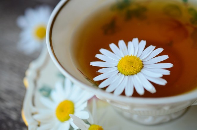 chamomile-829487_960_720