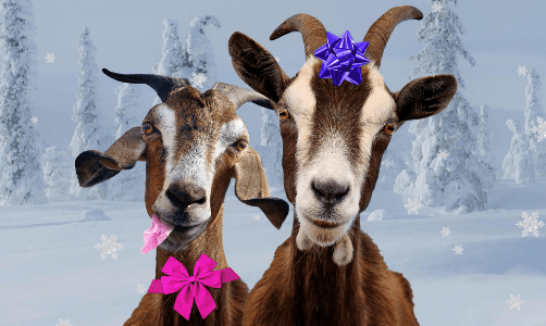 Untitled design (24)