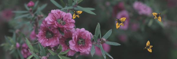 untitled design (40)