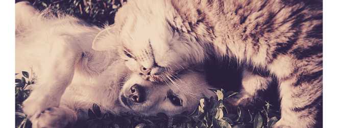 Untitled design (63)